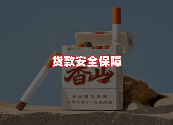 专业团队